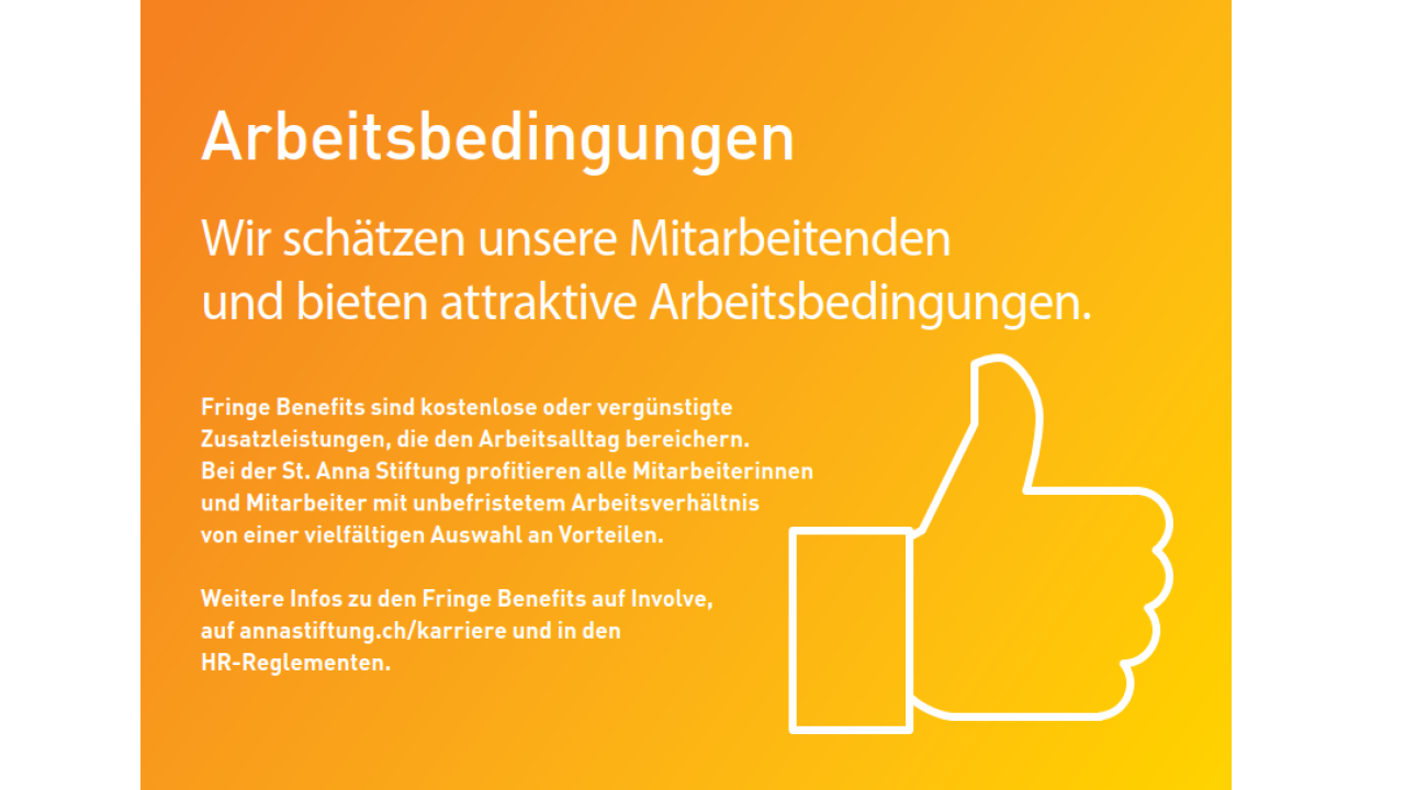 Fringe Benefits Arbeitsbedingungen Booklet